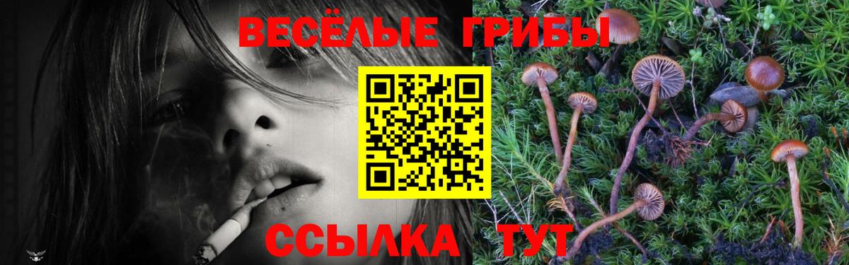 Галлюциногенные грибы GOLDEN TEACHER Лянтор